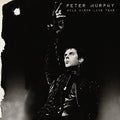 the album cover for Peter Murphy - Wild Birds Live Tour
