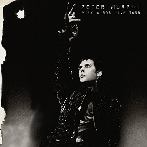 the album cover for Peter Murphy - Wild Birds Live Tour