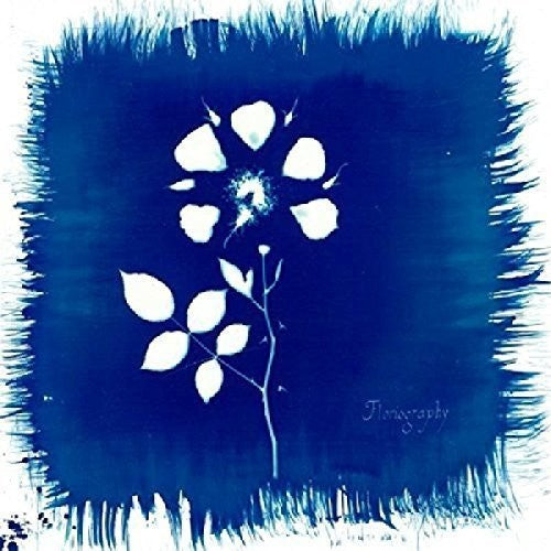 the album cover for Painted Zeros - Floriography