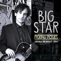 the album cover for Big Star - Picking Posies