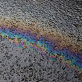 the album cover for Laurel Halo - In Situ