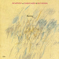 the album cover for Pat Metheny - Rejoicing