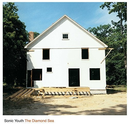 the album cover for Sonic Youth - The Diamond Sea [Vinyl Single]