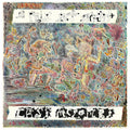 the album cover for Cass McCombs - A Folk Set Apart [Vinyl]