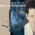 the album cover for Brian Wilson - Brian Wilson