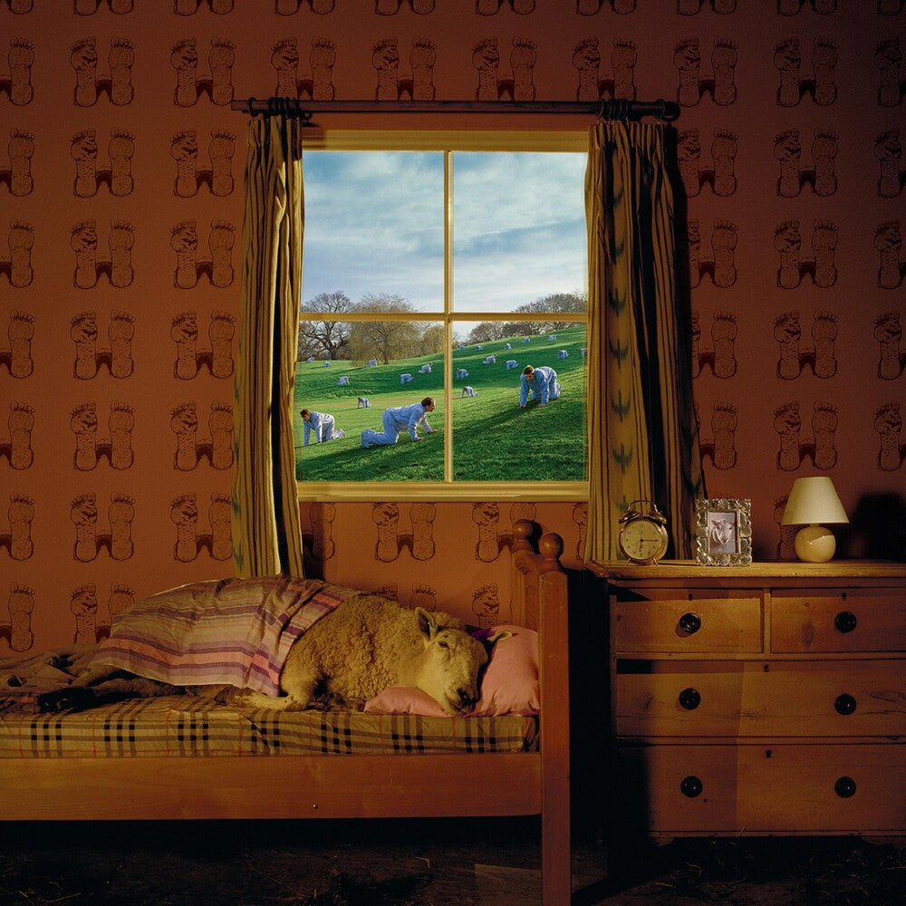 the album cover for Umphrey's McGee - Safety in Numbers