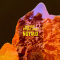 the album cover for BenoÃ®t Pioulard - Noyaux