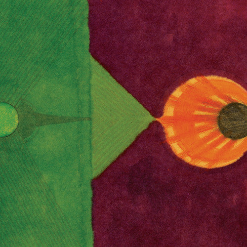 the album cover for Sunburned Hand Of The Man - Mind of a Brother
