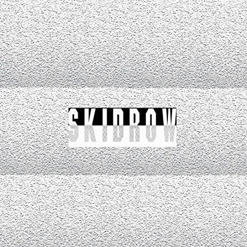 the album cover for James Ferraro - Skid Row