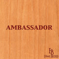 the album cover for Elliott Brood - Ambassador