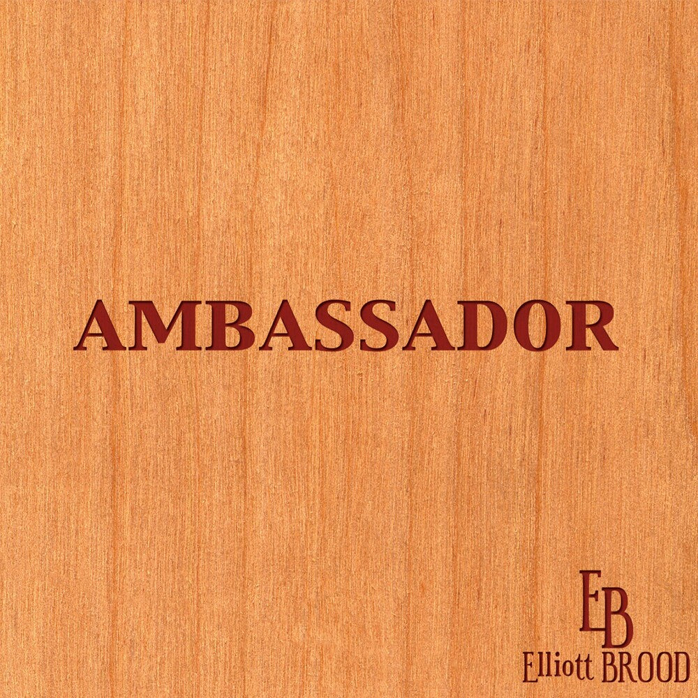 the album cover for Elliott Brood - Ambassador