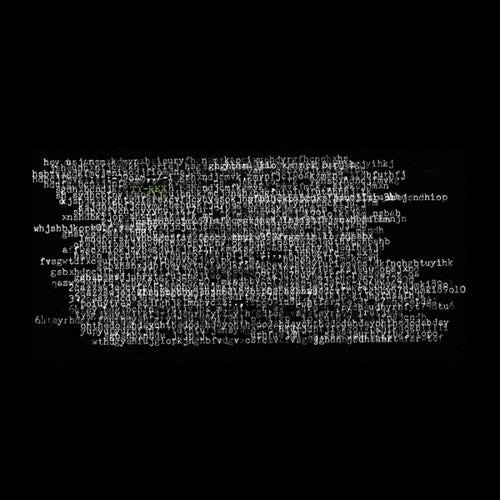 the album cover for Ty Segall - Ty Rex [Vinyl]
