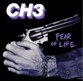 the album cover for Channel Three - Fear of Life