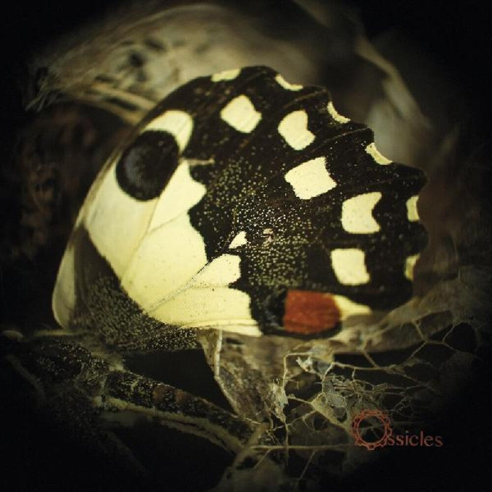 the album cover for Ossicles - Music for Wastelands