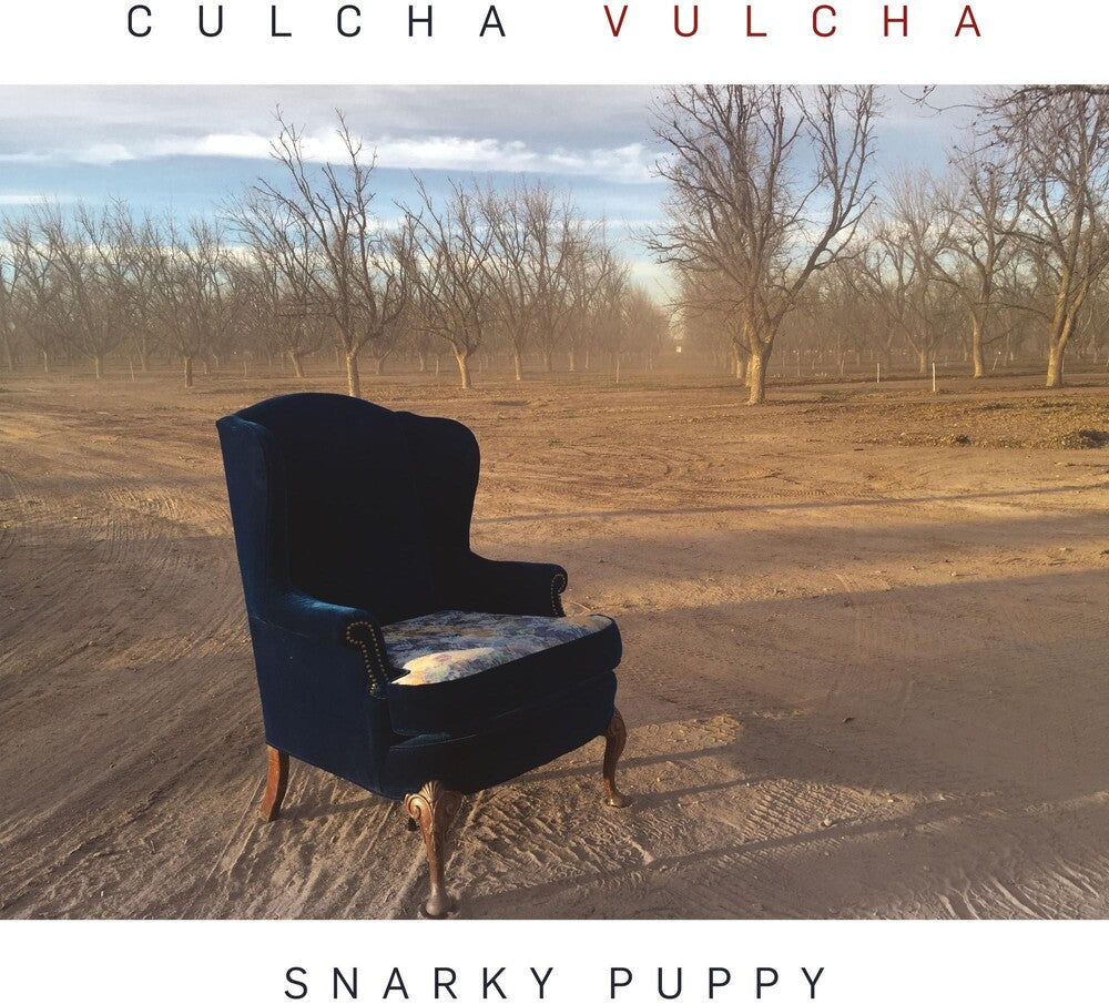 the album cover for Snarky Puppy - Culcha Vulcha
