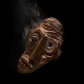 the album cover for Herva - Kila