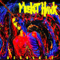 the album cover for Musket Hawk - Desolate