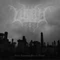 the album cover for Ultha - Pain Cleanses Every Doubt