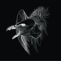 the album cover for Buried At Sea - Migration