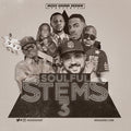 the album cover for Msxii Sound Design - Soulful Stems 3