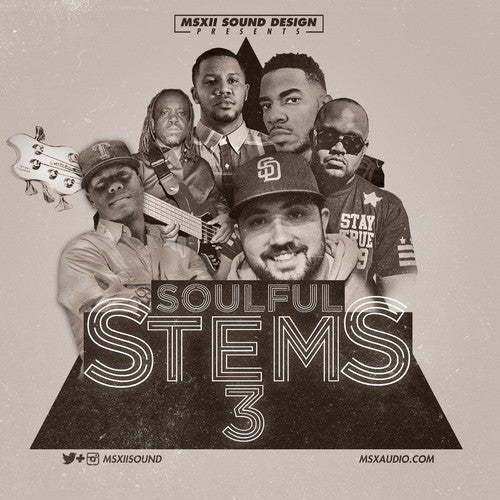 the album cover for Msxii Sound Design - Soulful Stems 3