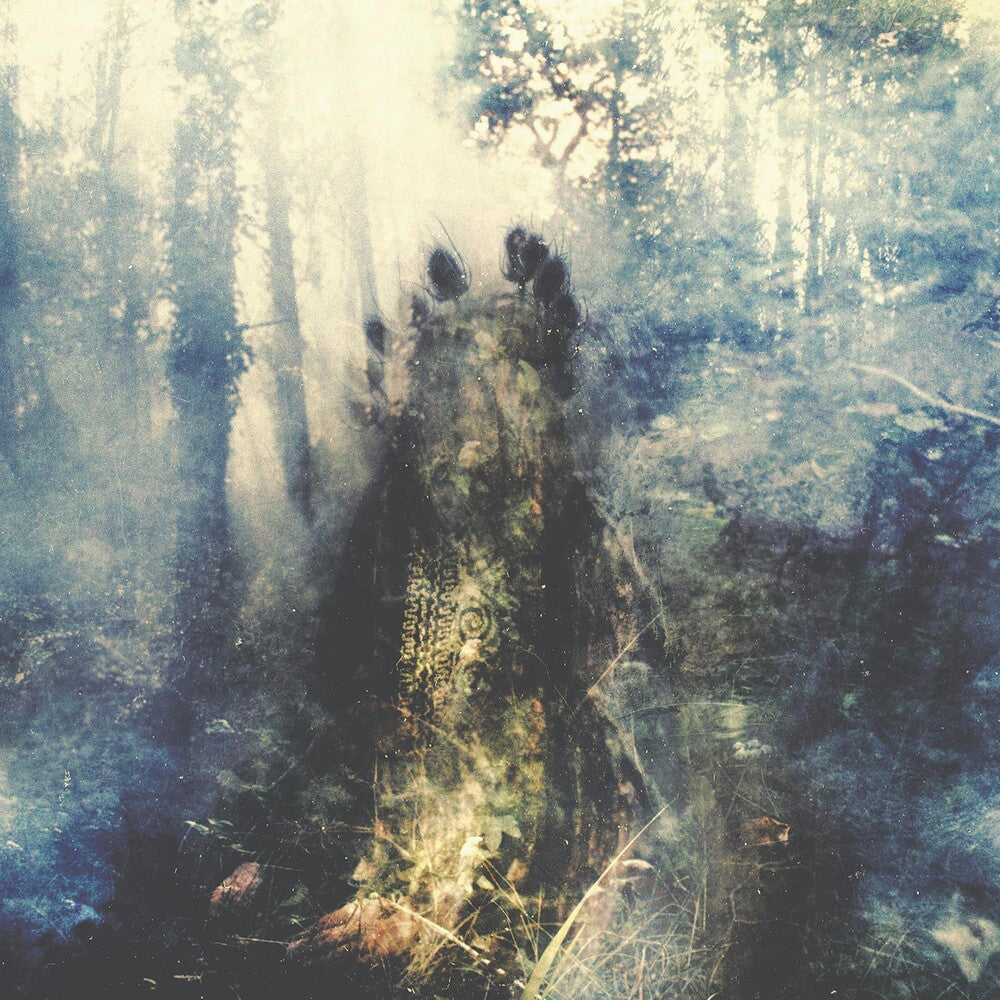the album cover for Sylvaine - Wistful