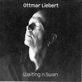 the album cover for Ottmar Liebert - Waiting N Swan