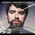 the album cover for Anthony D'amato - Cold Snap