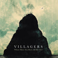 the album cover for Villagers - Where Have You Been All My Life?