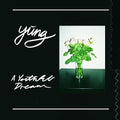 the album cover for Yung - A Youthful Dream
