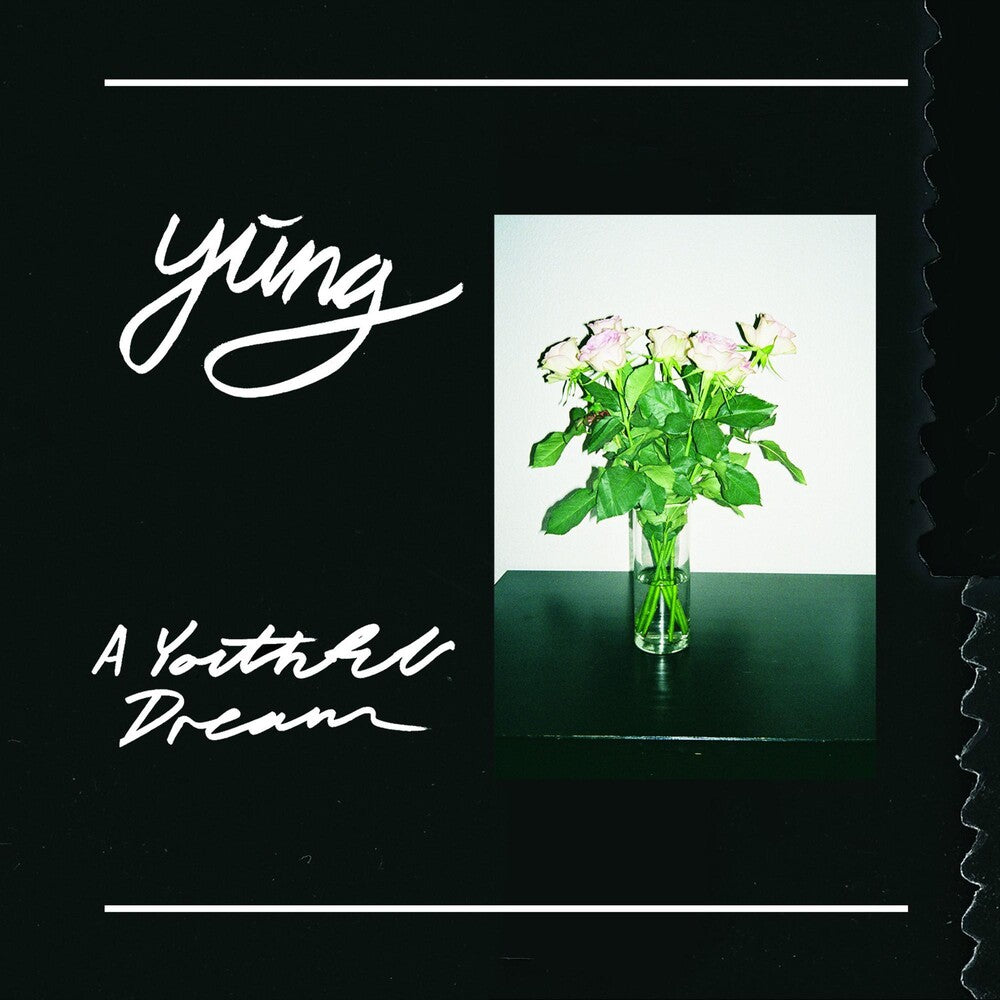 the album cover for Yung - A Youthful Dream