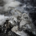 the album cover for Aphonic Threnody - When Death Comes