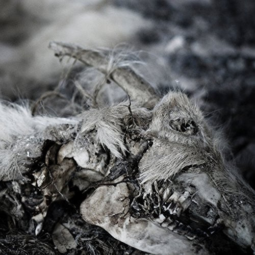 the album cover for Aphonic Threnody - When Death Comes