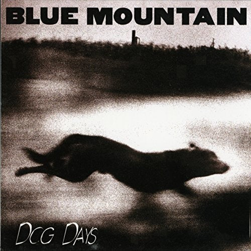 the album cover for Blue Mountain - Dog Days [Vinyl]