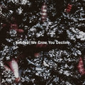 the album cover for Kobosil - We Grow, You Decline