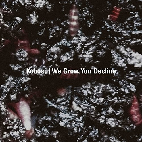 the album cover for Kobosil - We Grow, You Decline