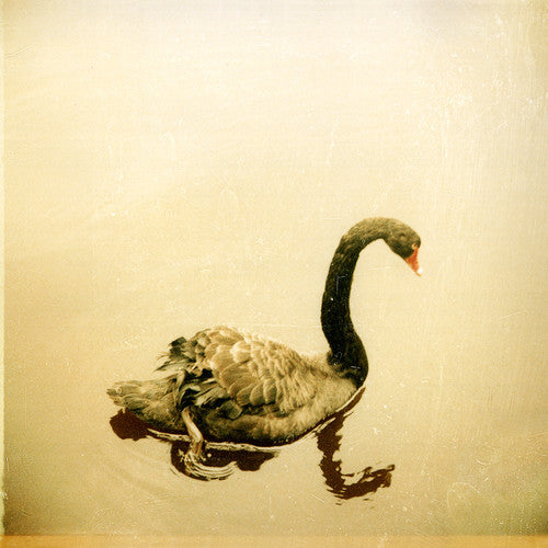 the album cover for Crooked Fingers - Crooked Fingers [Vinyl]