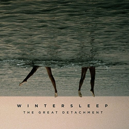 the album cover for Wintersleep - The Great Detachment