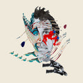 the album cover for Animal Collective - Painting with