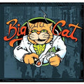 the album cover for Big Cat - Big Cat