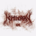 the album cover for Numenorean - Home