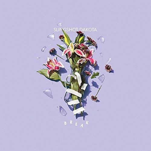 the album cover for Slingshot Dakota - Break