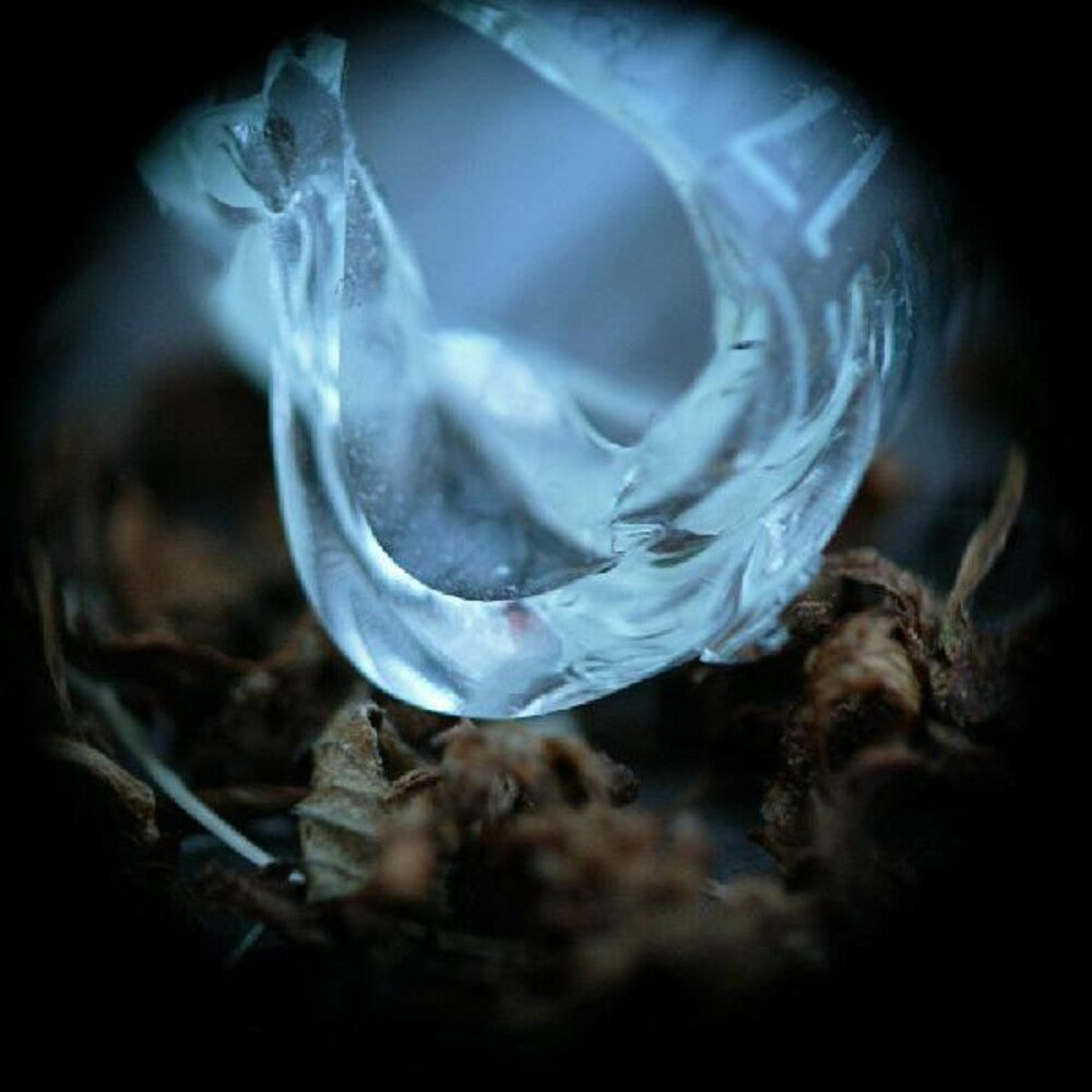 the album cover for Ossicles - Mantelpiece