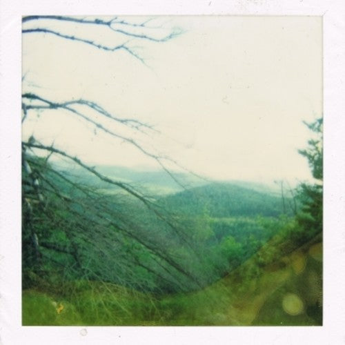 the album cover for Jagged Leaves - Nightmare