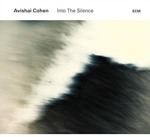 the album cover for Avishai Cohen (Bass) - Into The Silence [Vinyl]