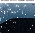 the album cover for Tord Gustavsen - What Was Said [Vinyl]