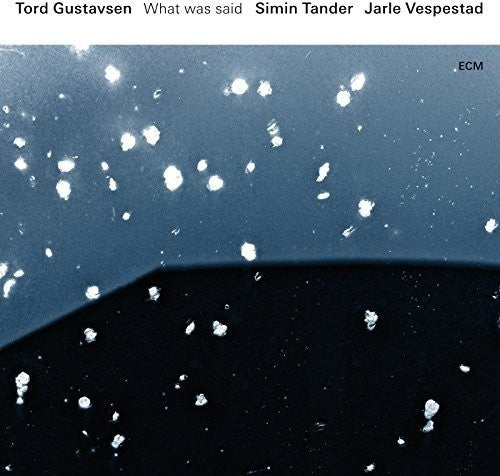 the album cover for Tord Gustavsen - What Was Said [Vinyl]