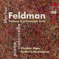 the album cover for Feldman / Steffen Schleiermacher / Giger,Christian - Feldman: Patterns In A Chromatic Field