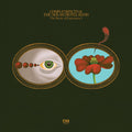 the album cover for Chris Forsyth & The Solar Motel Band - The Rarity Of Experience