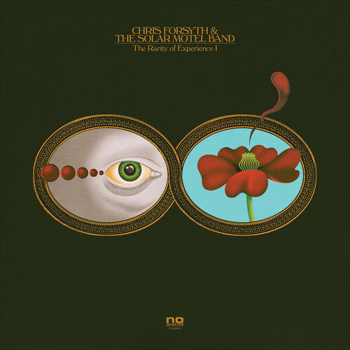 the album cover for Chris Forsyth & The Solar Motel Band - The Rarity Of Experience